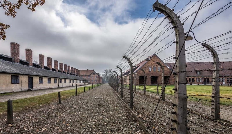 Krakow: Last Minute Auschwitz-Birkenau Guided Tour - The last-minute ticket queue