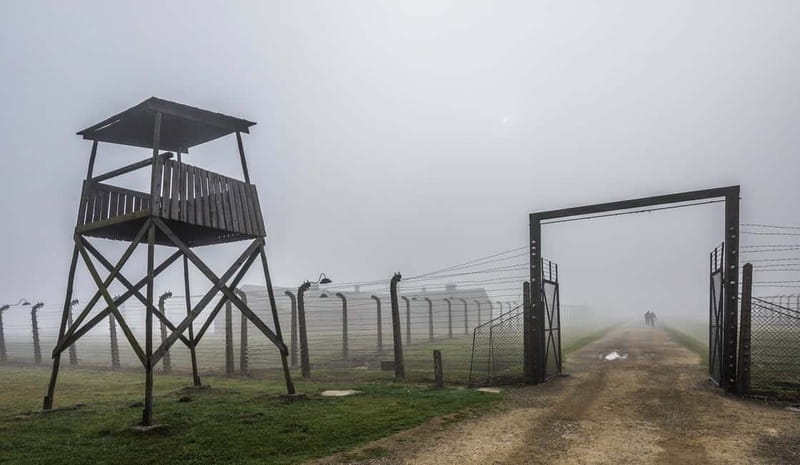 Krakow: Last Minute Auschwitz-Birkenau Guided Tour - How the day feels in practice