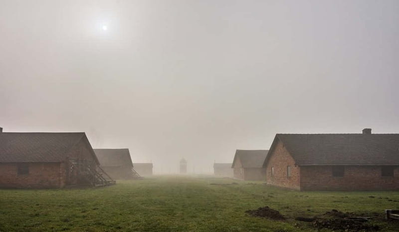 Krakow: Last Minute Auschwitz-Birkenau Guided Tour - Who should book this tour