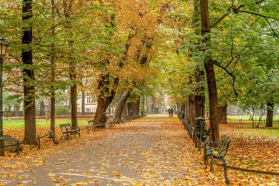 Krakow: Old Town Guided Walking Tour - Pace, coffee break, and physical demands