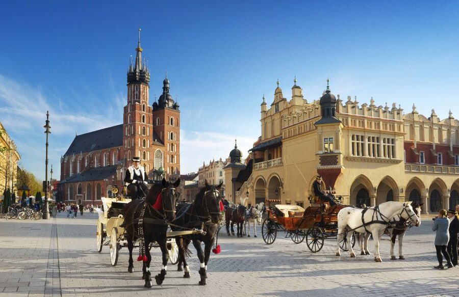 Krakow: Old Town Private Guided Walking Tour - Wawel Hill, royal tombs, and the cathedral