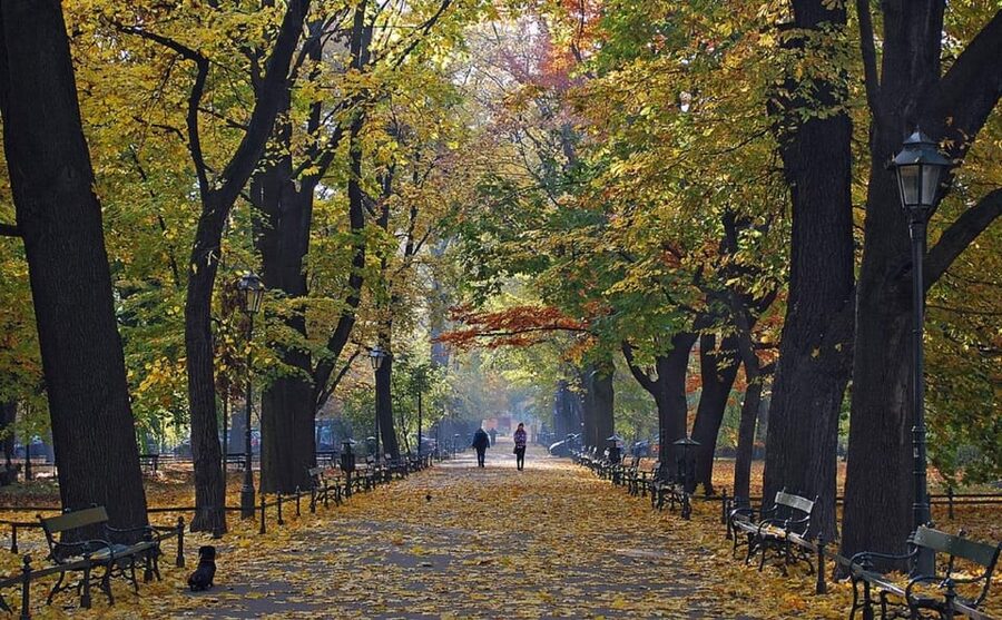 Krakow: Old Town "Royal Route" Walking Tour - Why Krakow’s Royal Route works so well