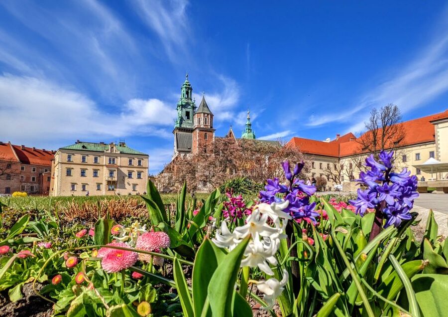Kraków: Old Town & Wawel Castle Walking Tour in English - Walking up Wawel Hill