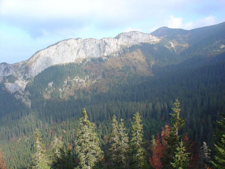 Krakow: Tatra Mountains and Zakopane Full-Day Private Tour - The Great Krokiew and Poland’s ski-jumping tradition