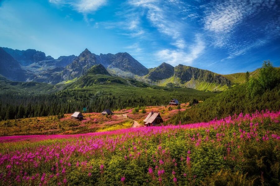 Krakow: Tatra Mountains and Zakopane Full-Day Private Tour - Krupowki Street and the Zakopane welcome