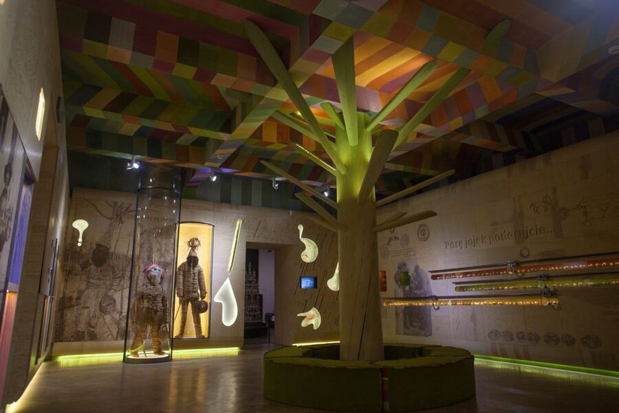 Krakow: The Ethnographic Museum ticket - Esterka’s House and its vaulted cellar
