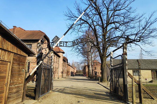 Krakow to Auschwitz Birkenau and Salt Mine 1 Day Tour - Auschwitz-Birkenau: a serious morning of remembrance