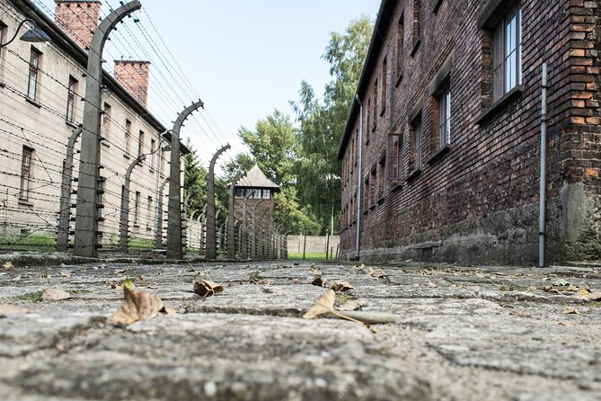 Krakow to Auschwitz Birkenau Guided Tour with Ticket and Transfer - What this Krakow to Auschwitz tour actually provides