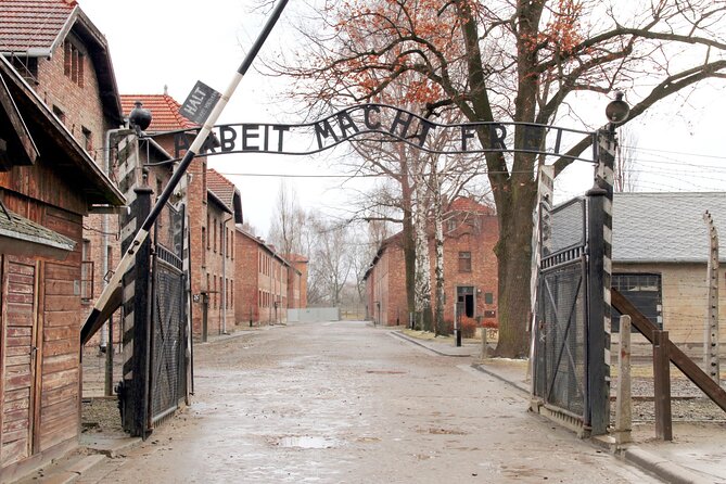 Krakow to Auschwitz-Birkenau: Private Round-Trip Experience - Independent visit or licensed guide?