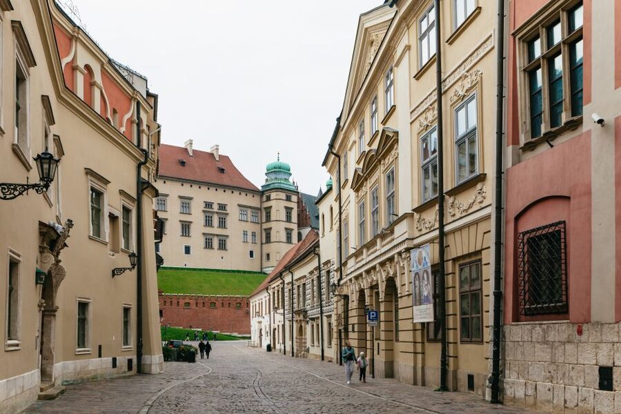 Krakow: Wawel Royal Hill with Optional Castle and Cathedral - What the optional castle visit adds