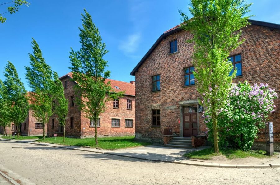 Krakow: Wieliczka Salt Mine and Auschwitz-Birkenau Tour - Why the two-stop plan works, and where it feels rushed
