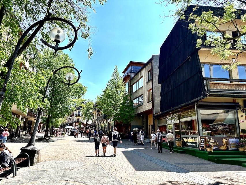 Krakow: Zakopane and Chochołowskie Bath Full Day Trip - Guides, group size, and the practical feel