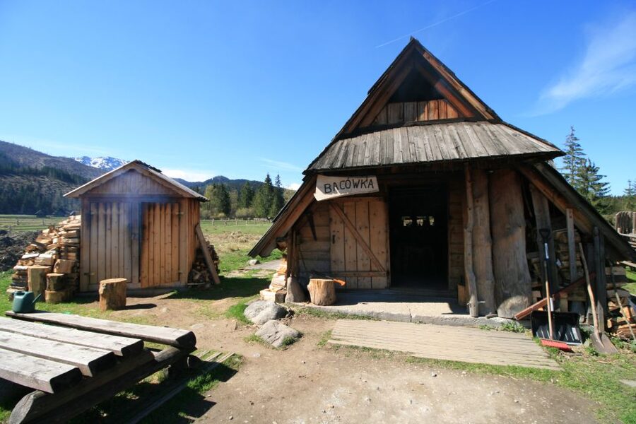 Krakow: Zakopane Day Tour with Optional Thermal Baths - Why this Krakow to Zakopane day trip works