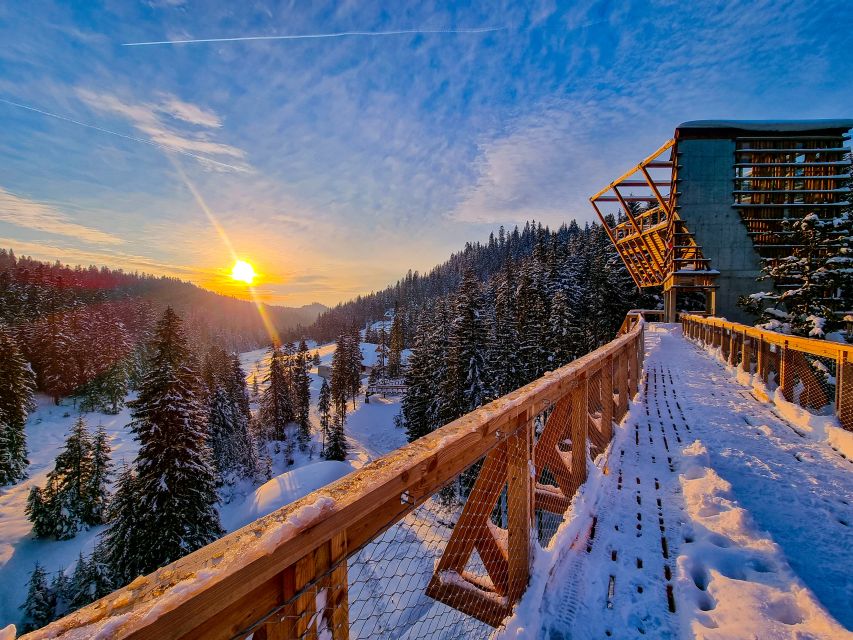 Krakow: Zakopane, Thermal Baths and Gorce Park Treetop Walk - Key points to know before booking