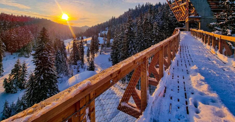 Krakow: Zakopane, Thermal Baths and Gorce Park Treetop Walk - From Krakow to the Gorce mountains