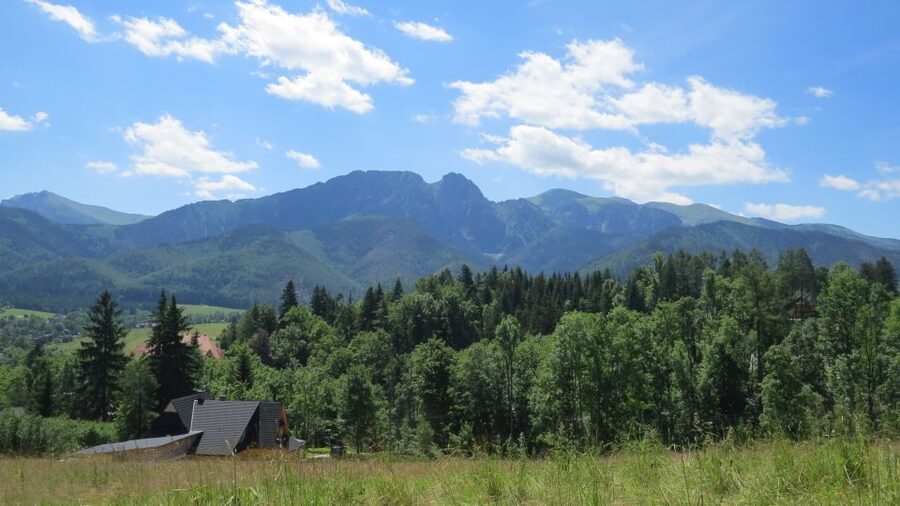 Krakow: Zakopane, Thermal Baths, Cable Car, Vodka, Oscypek - Two hours on Krupówki Street