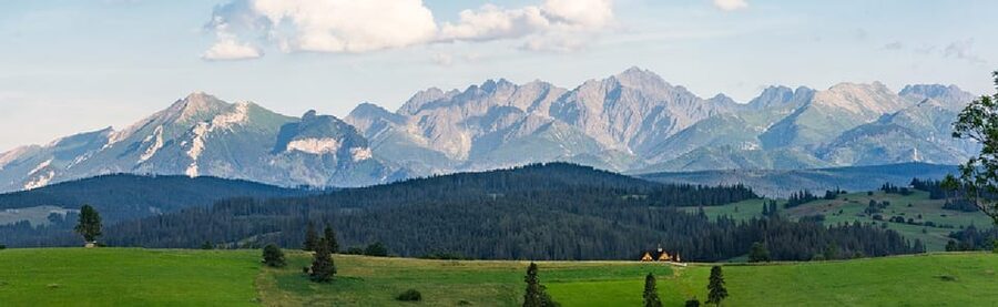 Krakow: Zakopane, Thermal Baths, Cable Car, Vodka, Oscypek - Oscypek, smoked cheese, and flavored vodka