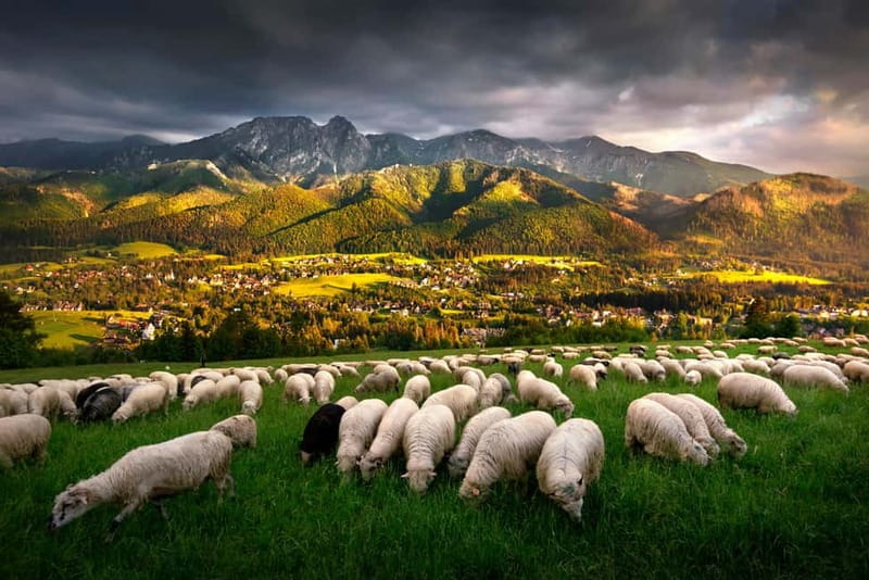 Krakow: Zakopane Trip with Thermal Pools & Hotel Pick-up - Chocholow and the taste of Podhale