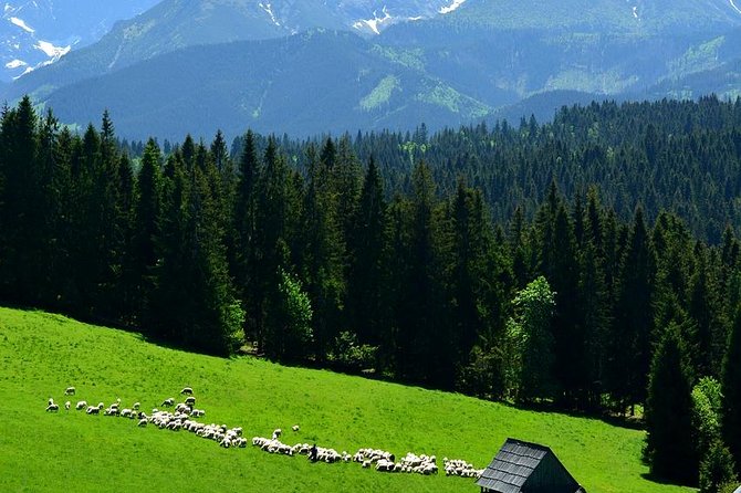 Krakow: Zakopane with Thermal Baths, Cable Car & Hotel Pickup - Chocholowskie Thermal Baths: relaxation or water park?