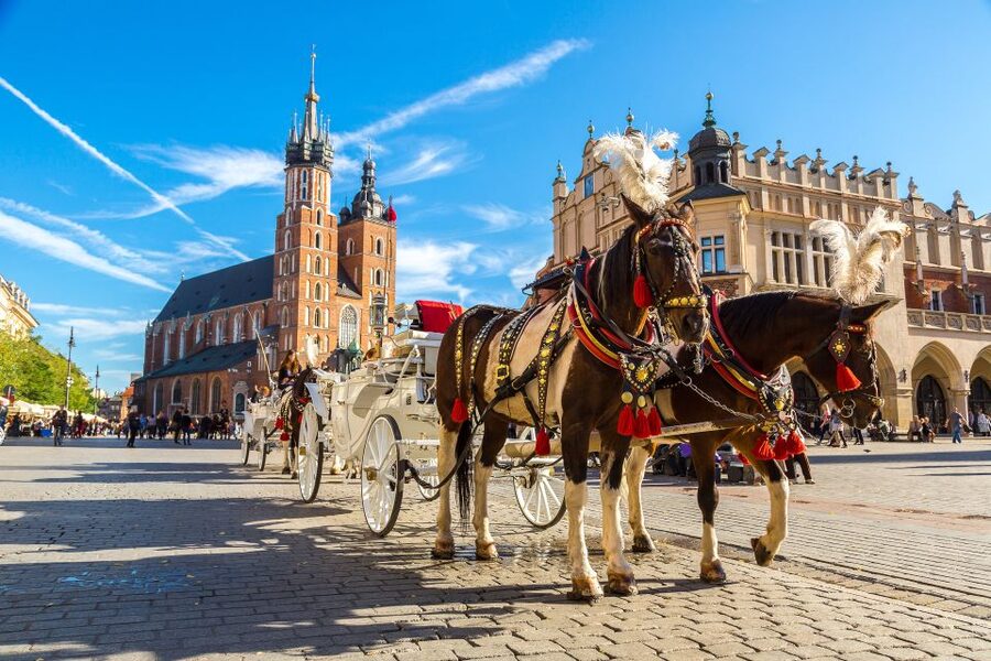 Krakow: Zoo Tour with Private Transport and Tickets - Practical tips for making the three hours count
