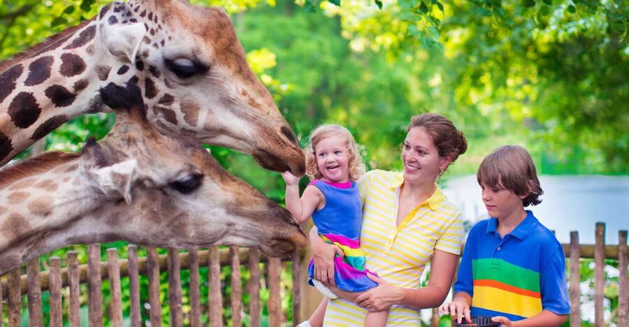 Krakow: Zoo Tour with Private Transport and Tickets - Cancellation, payment, and access in brief