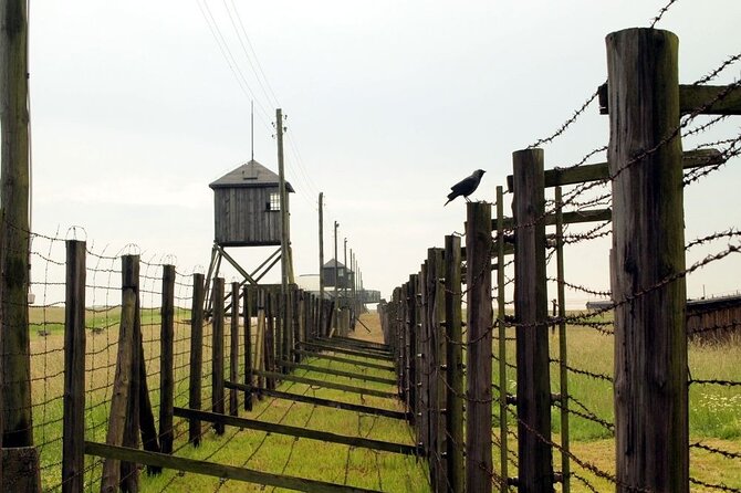 Lublin and Majdanek Small Group Tour from Warsaw with Lunch - Lunch, timing, and the value of the price
