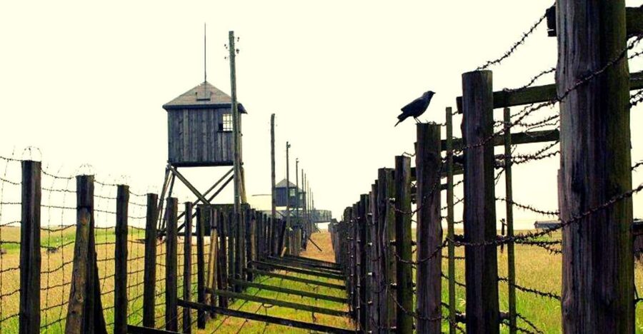 Lublin & Majdanek Small-Group Tour from Warsaw with Lunch - Majdanek: a serious visit near the city