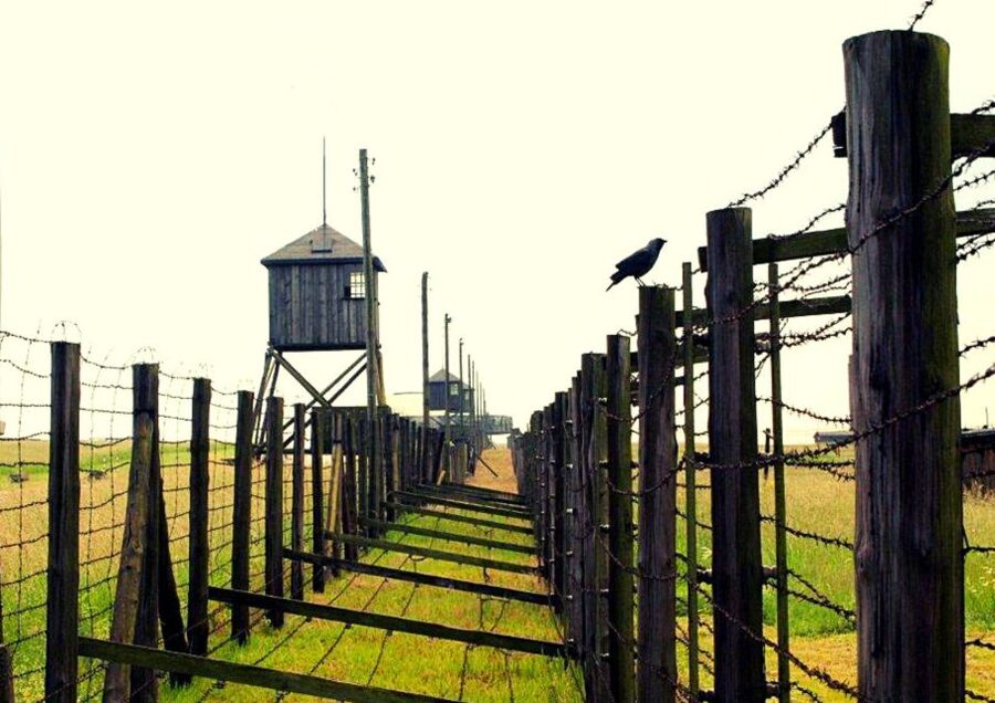 Lublin & Majdanek Small-Group Tour from Warsaw with Lunch - What the $311 price gives you