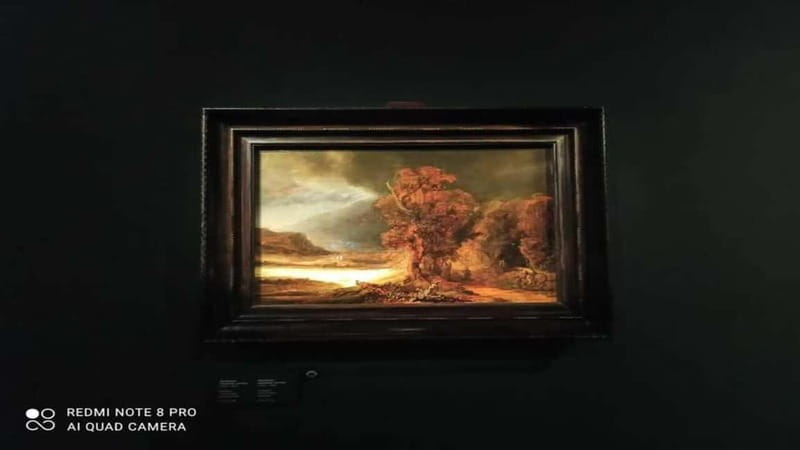 Museo Czartorisky : Visita in Lingua Italiana salta fila… - Entering the Czartoryski Museum