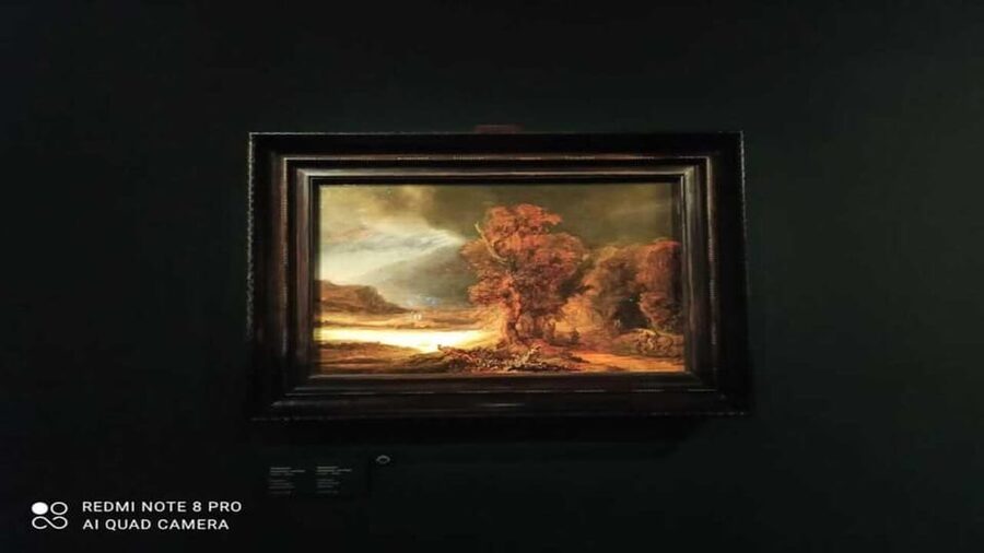 Museo Czartoryski: Visita in italiano e salta la fila - Meeting inside the Czartoryski Museum
