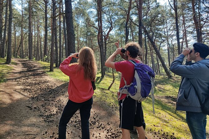 Nature Walk and Wildlife Tour in Sobieszewo Island - Key points about this Sobieszewo Island walk