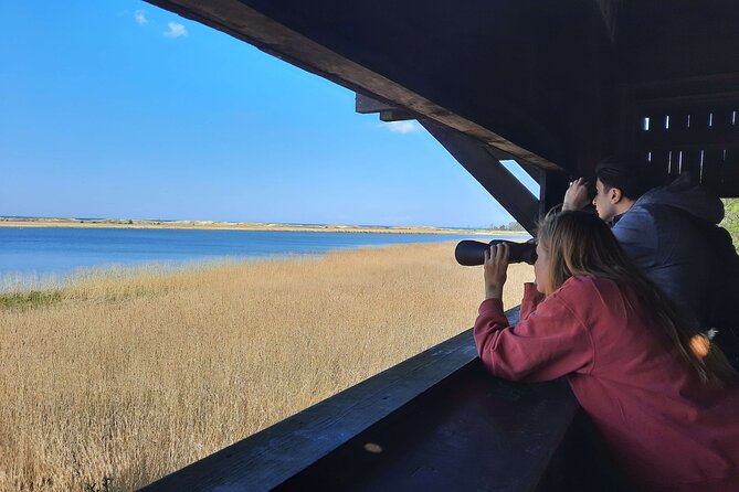 Nature Walk and Wildlife Tour in Sobieszewo Island - Why Ptasi Raj makes a good half-day escape