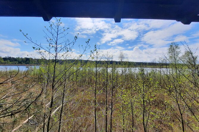 Nature Walk and Wildlife Tour in Sobieszewo Island - Walking to Plaża 19 and the Baltic shore