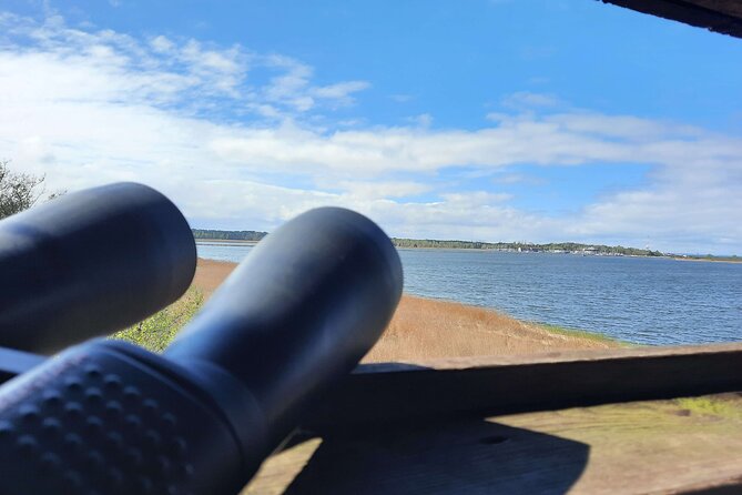 Nature Walk and Wildlife Tour in Sobieszewo Island - The guide and the pace of the walk