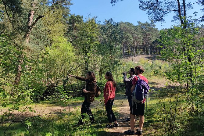 Nature Walk and Wildlife Tour in Sobieszewo Island - Starting at Nadwiślańska 133 at 9:30 am