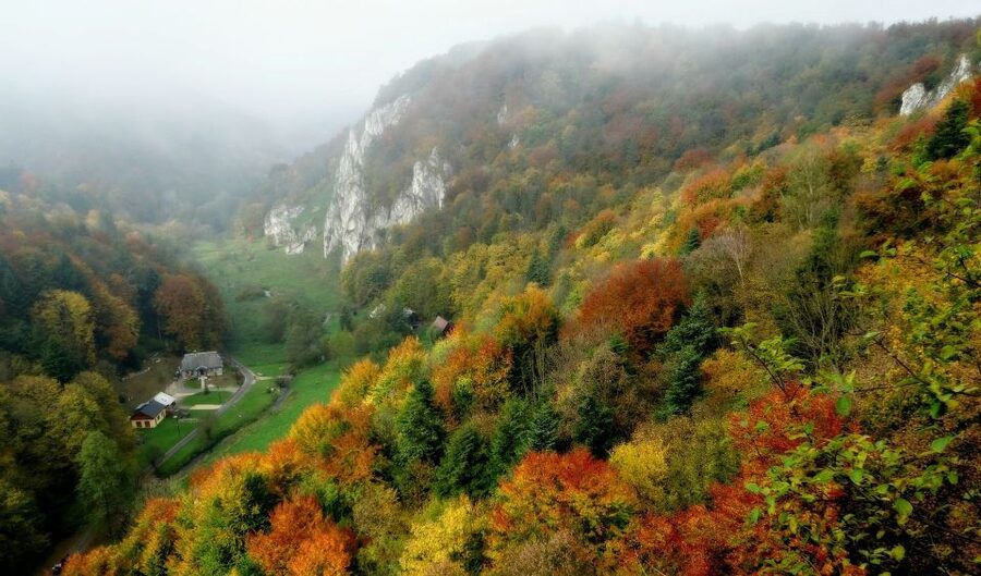 Ojcow National Park: Full-Day Trip from Krakow - Practical advice for a smoother day