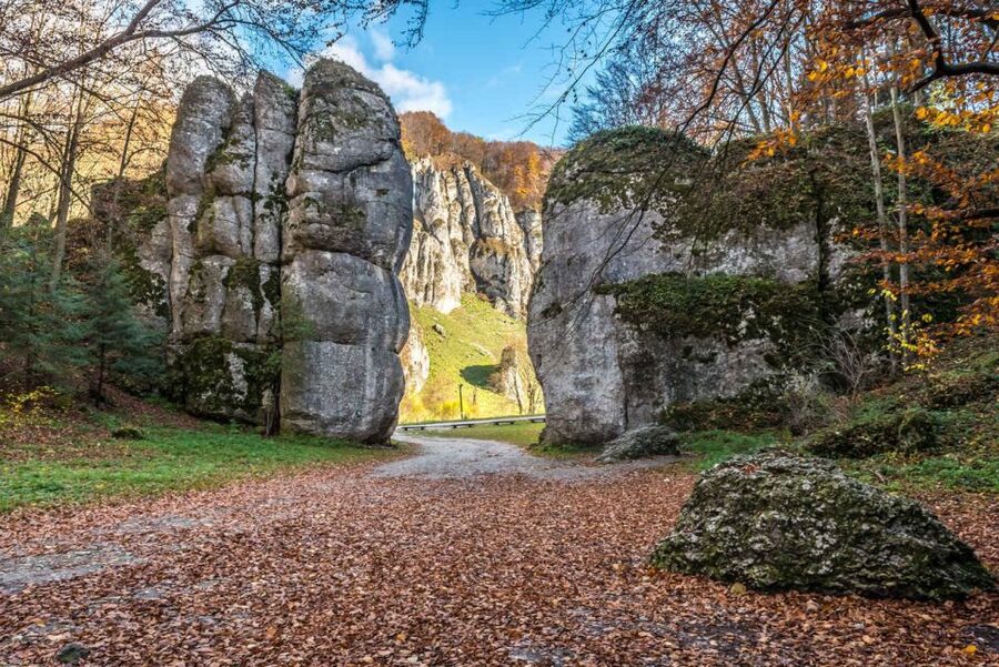 Ojcow National Park: Full-Day Trip from Krakow - Walking through the woods to Krakow Gate