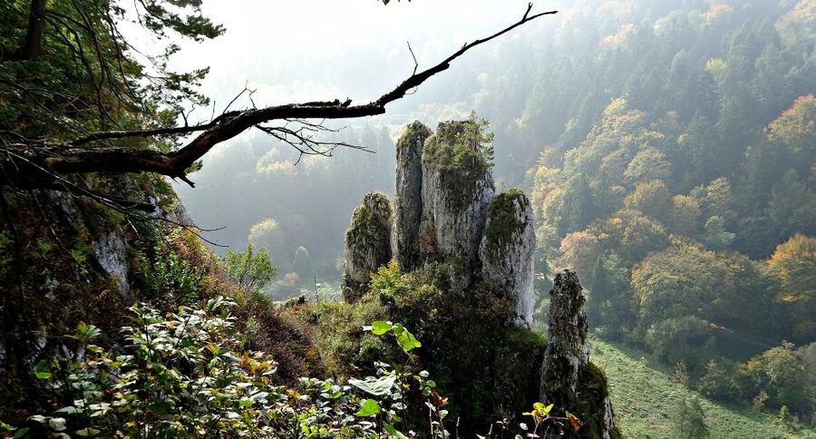 Ojcow National Park: Full-Day Trip from Krakow - Pieskowa Skala Castle and a Polish Renaissance finish