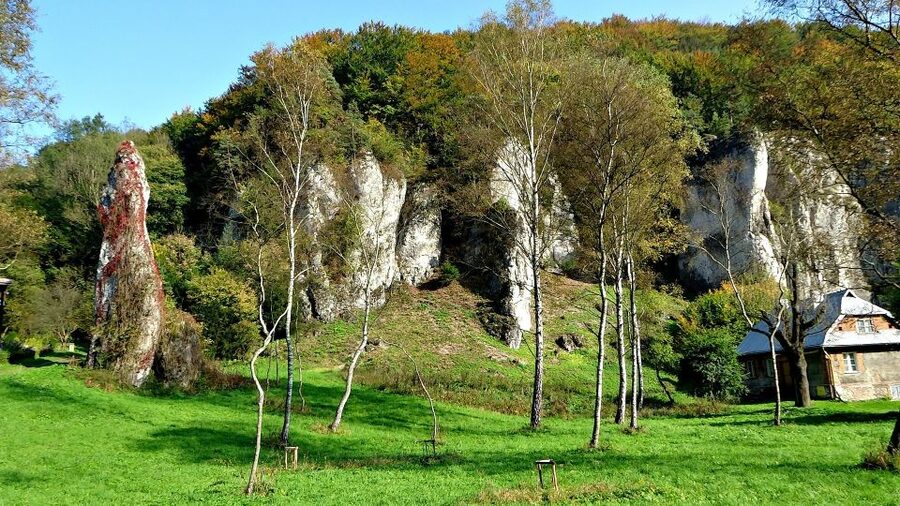 Ojcow National Park: Full-Day Trip from Krakow - Who should book this outing