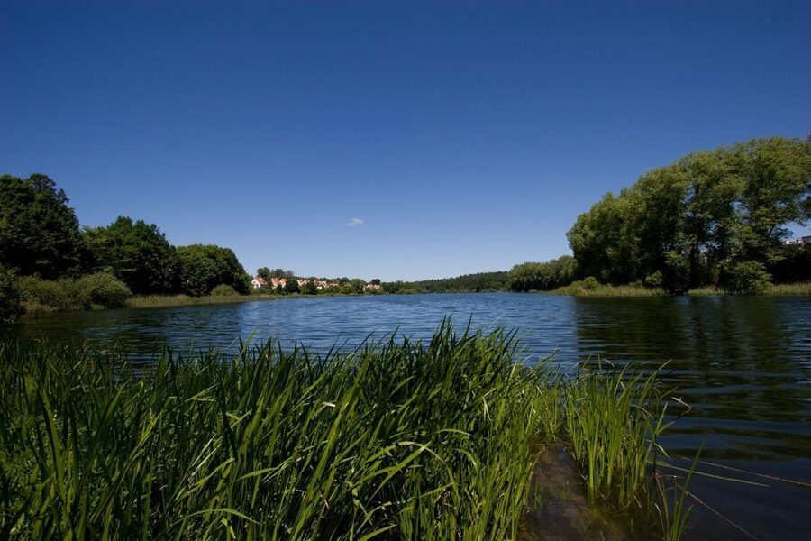 Olsztyn Old Town Highlights Private Walking Tour - Who will get the most from this Olsztyn walk