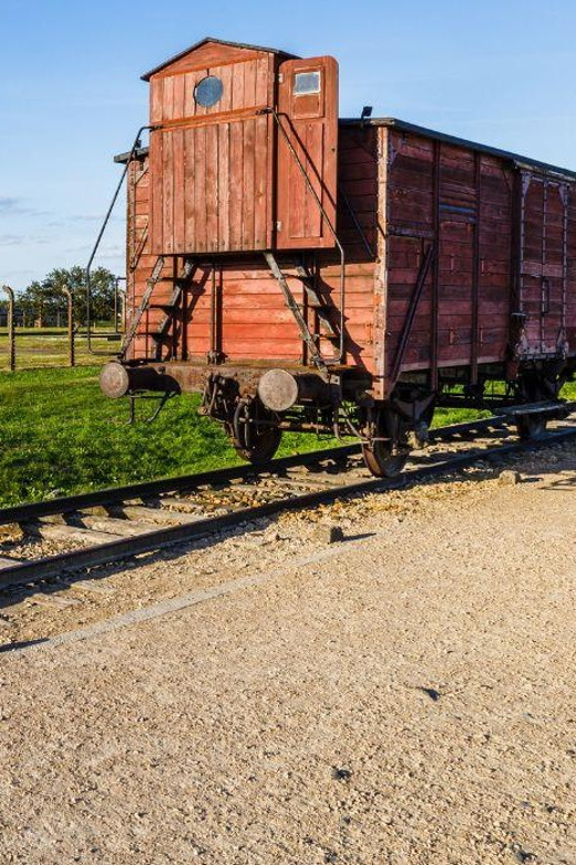 Prague: Tour to Auschwitz Birkenau - The scale of Auschwitz II Birkenau