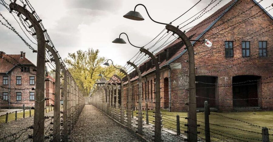 Prague: Tour to Auschwitz Birkenau - The return to Prague