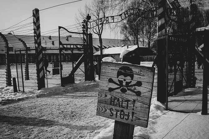 Private Guided Tour Auschwitz Birkenau with Transport from Krakow - What private transport does, and does not, mean