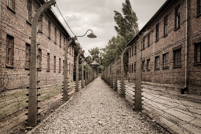 Private Guided Tour to Auschwitz & Birkenau from Krakow - The Judenrampe and the arrival of prisoners