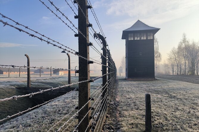 Private Guided Tour to Auschwitz & Birkenau from Krakow - The museum guide and what you should expect