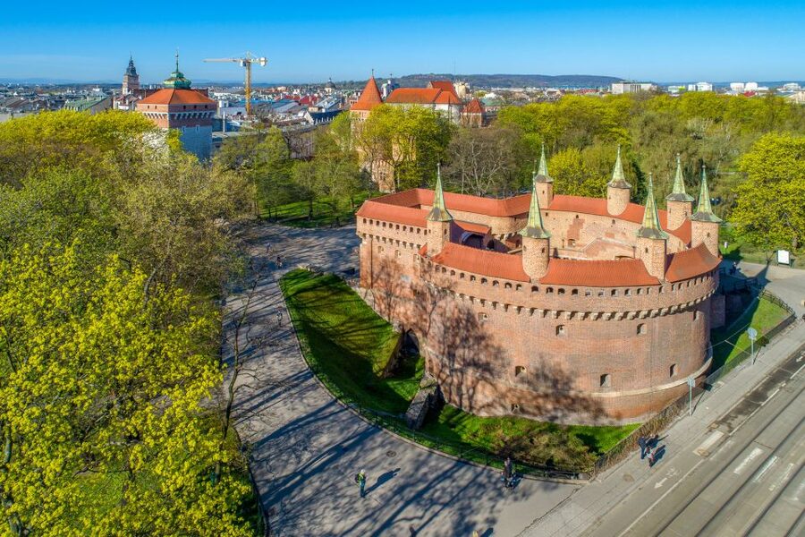 Private Krakow Tour: St. Mary’s, Cloth Hall & More - Collegium Maius and the story of medieval learning