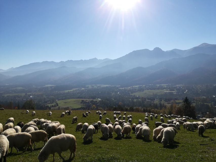 Rafting on Dunajec & Zakopane Tour – Day Trip from Krakow - A short cheese tasting in Pieniny National Park