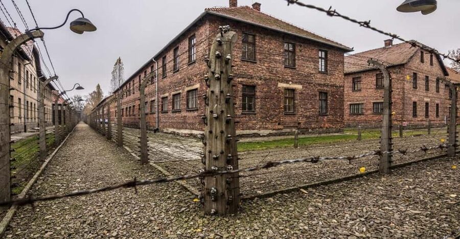 RoundTrip from Krakow to Auschwitz + Entrance Tickets - Choosing transport only or transport with tickets