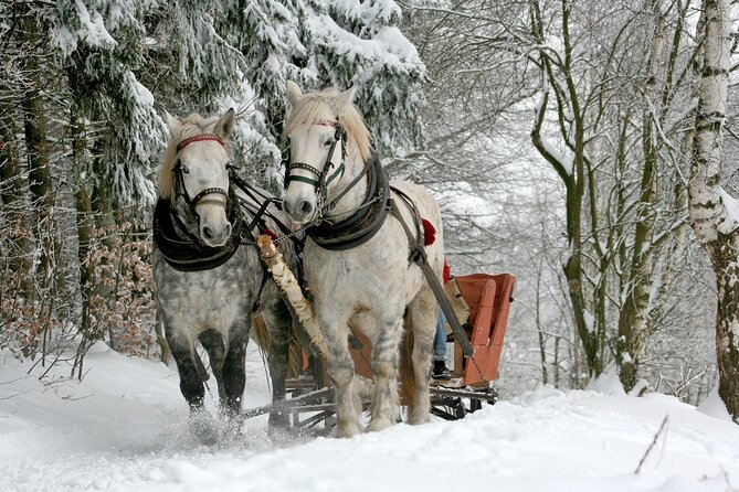 Sleigh Ride & Bonfire in Zakopane with Funicular - Private Trip - Key points to know before booking