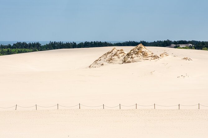 Slowinski National Park Private Tour - Seeing the park’s lakes, forests, and protected wetlands
